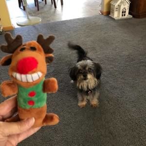 Meet your Posher, Kay